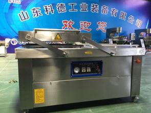 雙室真空包裝機(jī)商用不銹鋼食品包裝設(shè)備